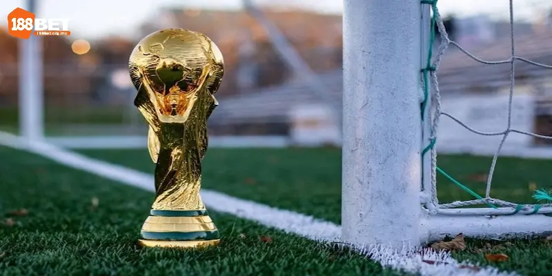 5 sân vận động tổ chức World Cup 2026 nổi bật
